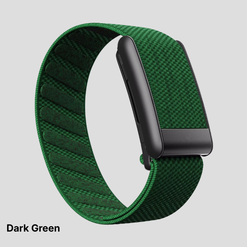 Solid Colors