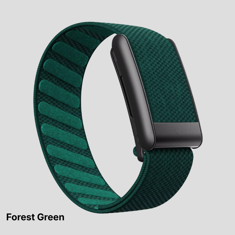 Solid Colors