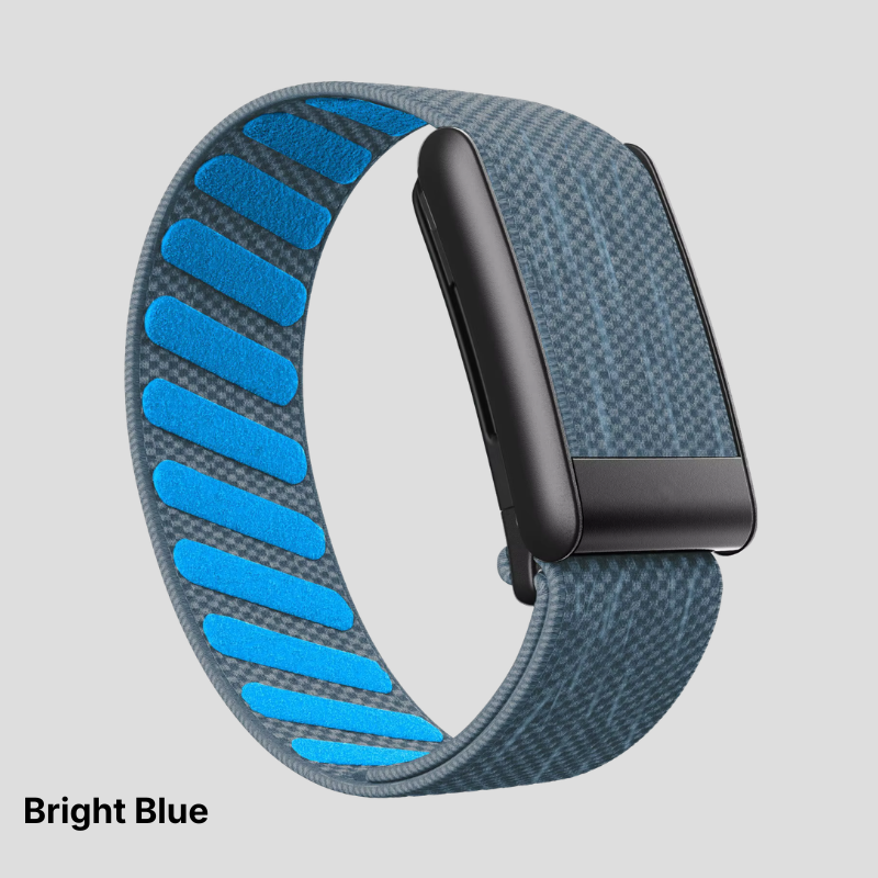 Solid Colors