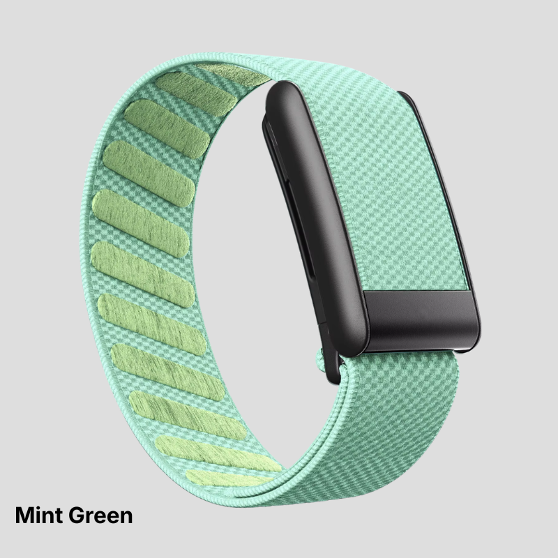 Solid Colors